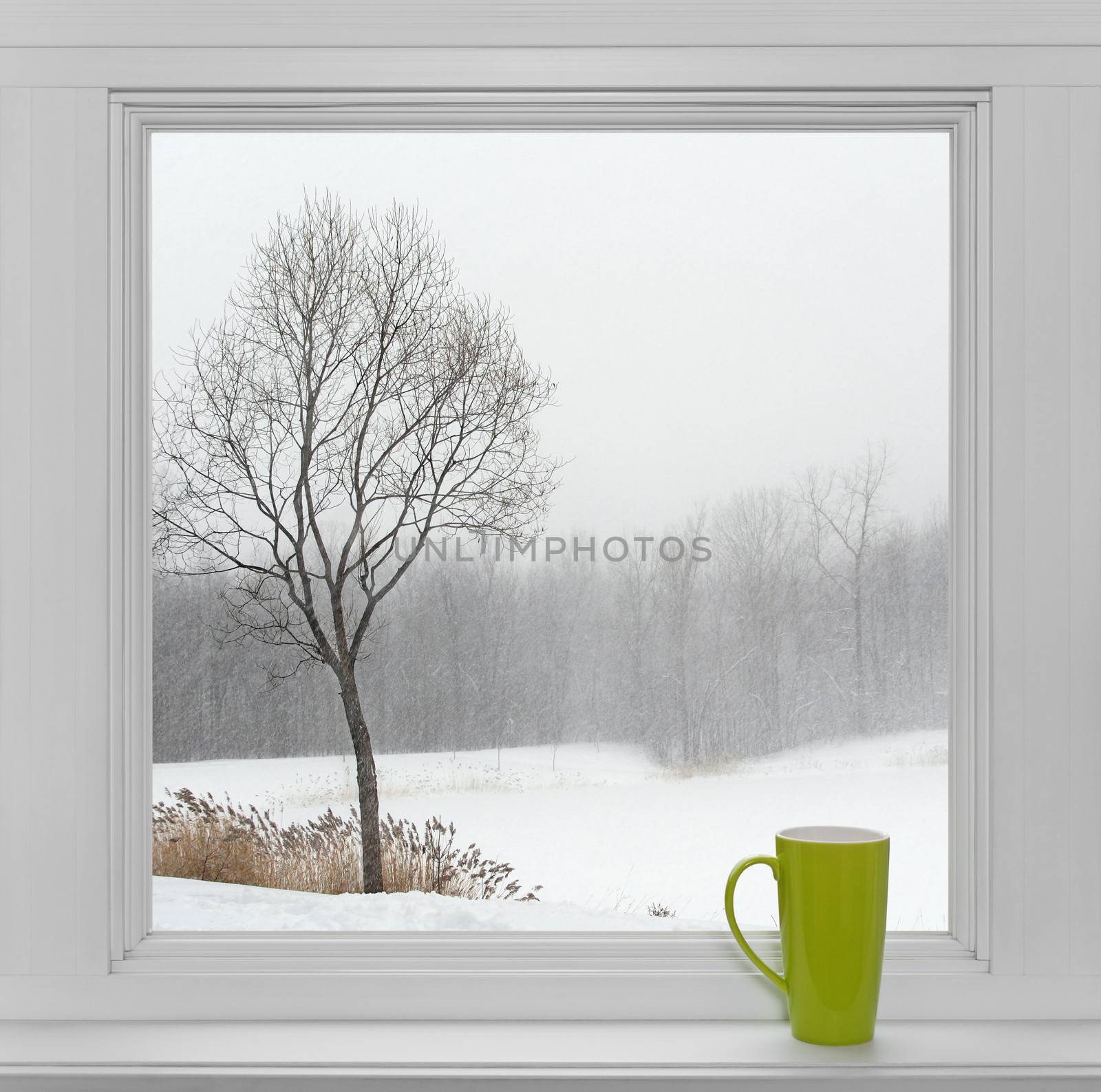Green teacup on a windowsill, with winter landscape seen through the window.
