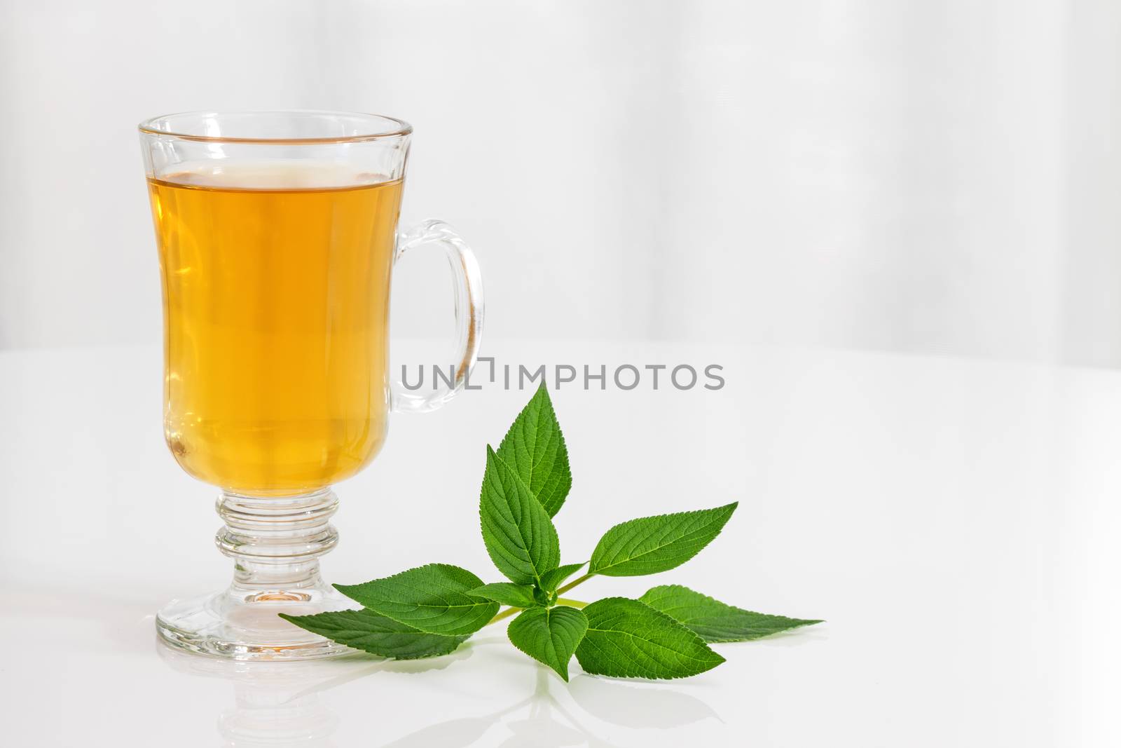 Tea in a glass cup and fresh mint leaves.