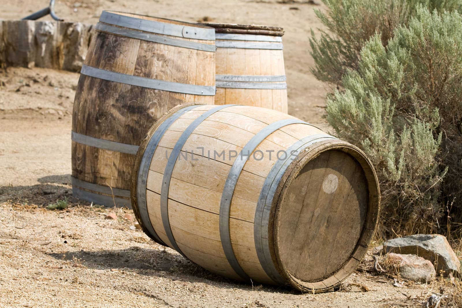 Old wooden storage barrels lay discarded outside on the ground.