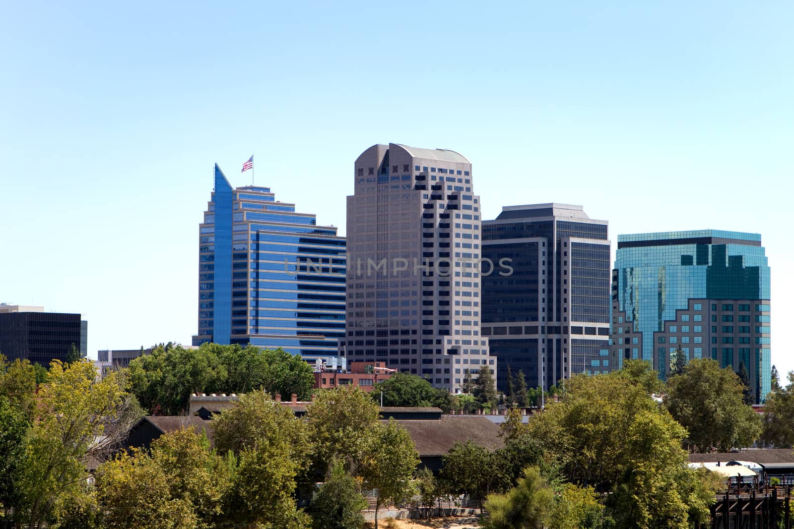 Tall buildings show above the tree in a skyline view of the city of Sacramento, California.