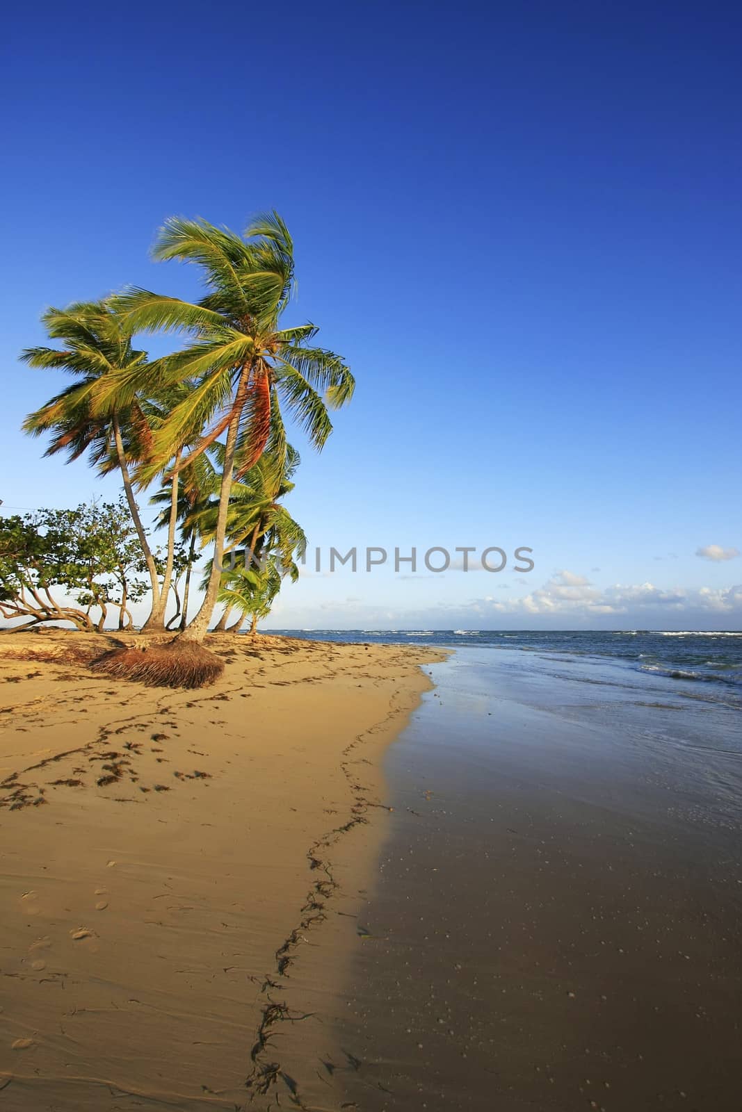 Las Terrenas beach, Samana peninsula, Dominican Republic