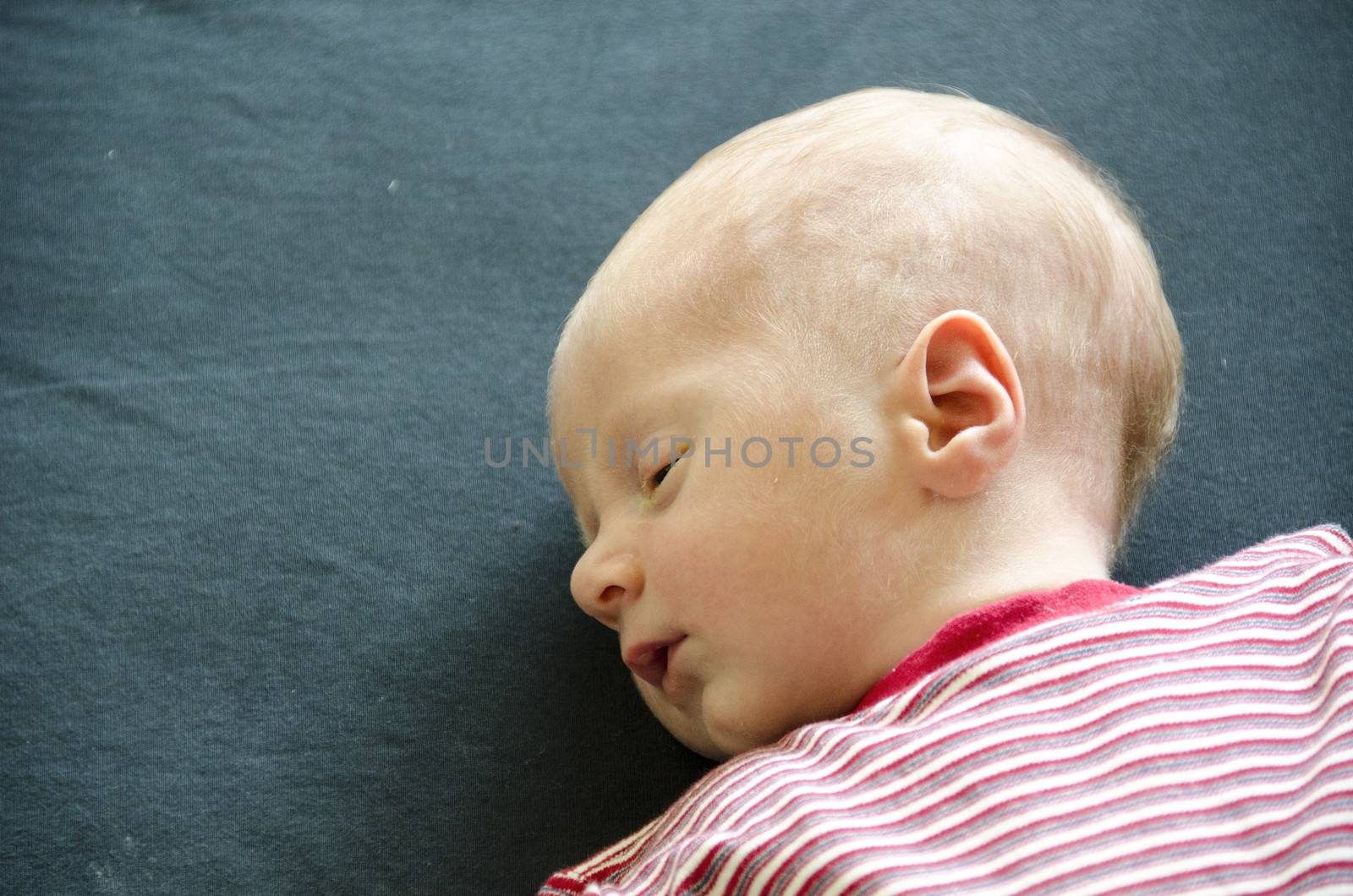 Cute baby lying on its back and looking around