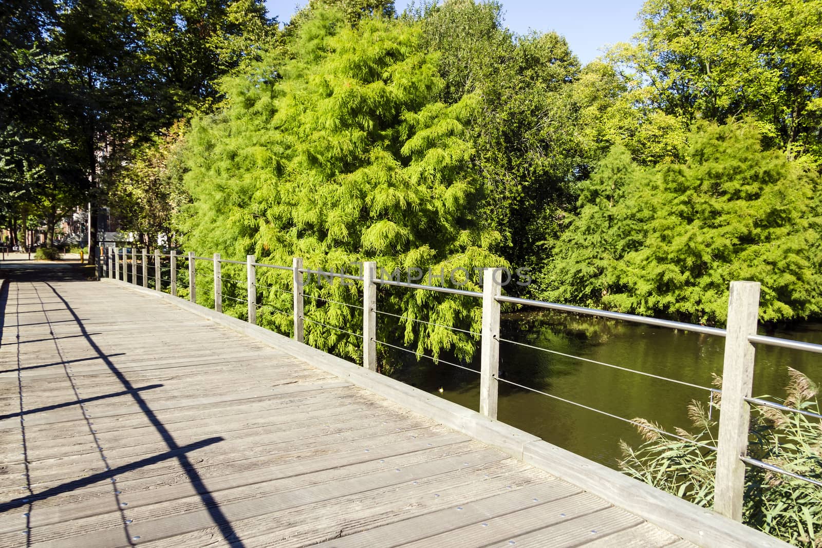 Wooden bridge in green garden in the afternoon