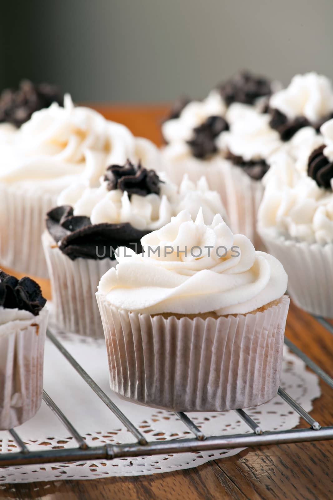 Close up of some decadent gourmet cupcakes with chocolate and vanilla frosting. Shallow depth of field.