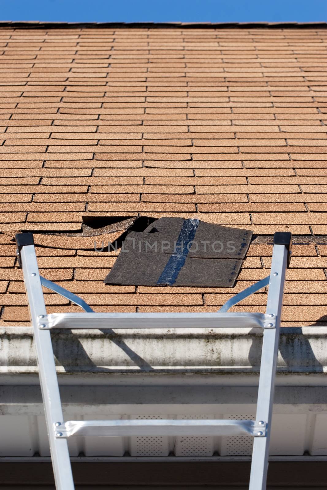 Roofing Repair by graficallyminded