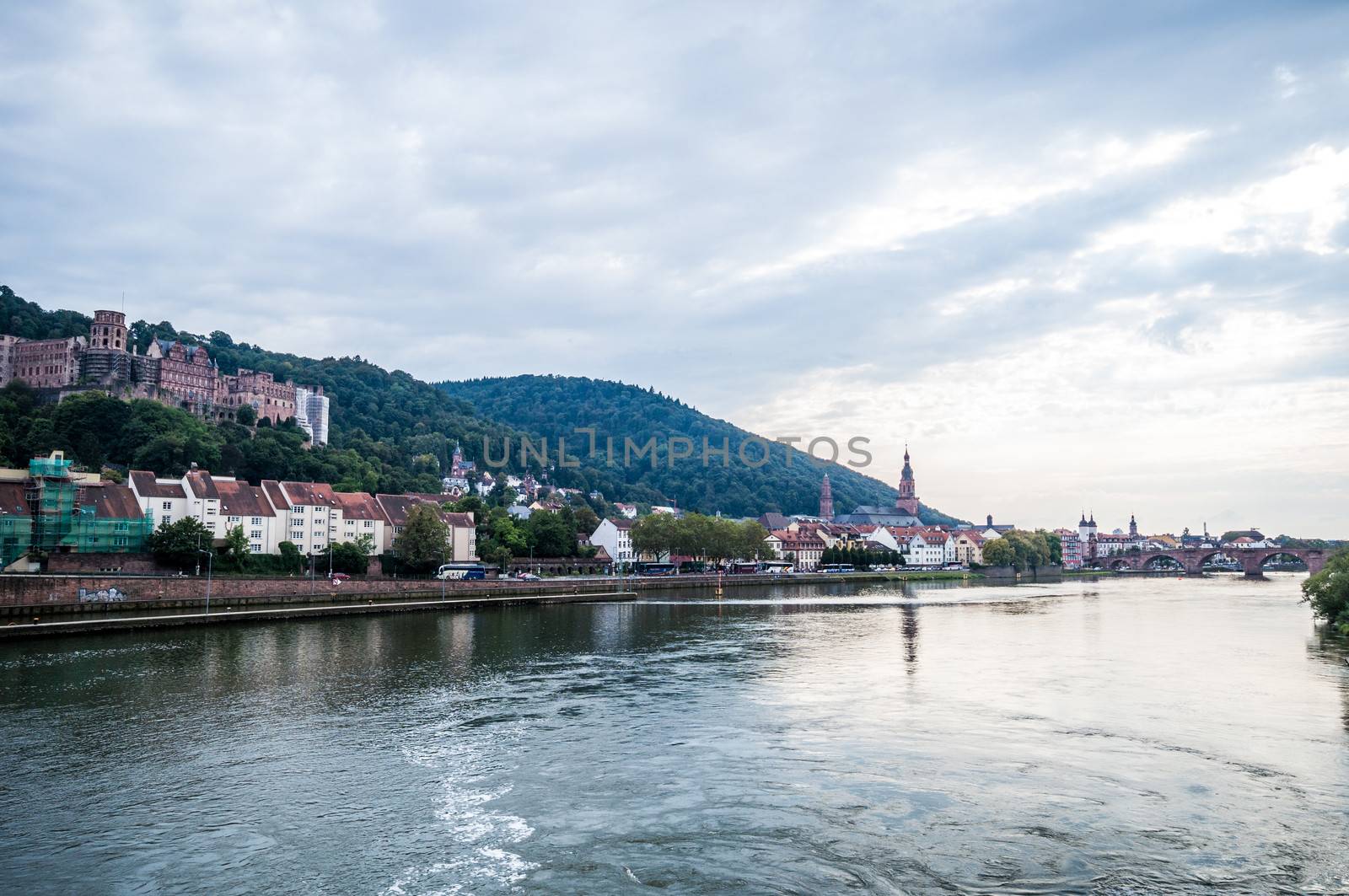 view of the old town of Heidelberg with the castle