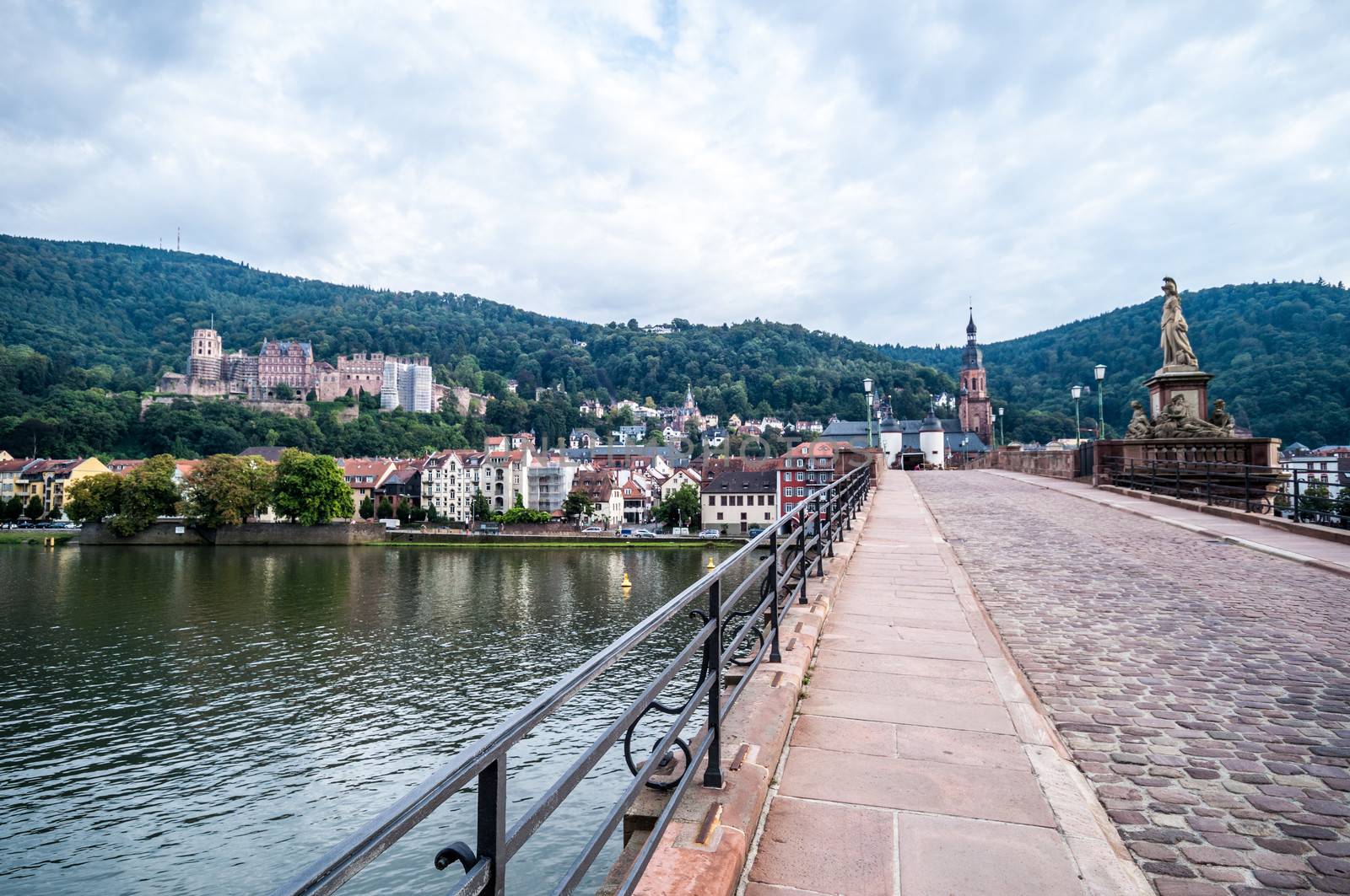 view of the old town of Heidelberg with the castle