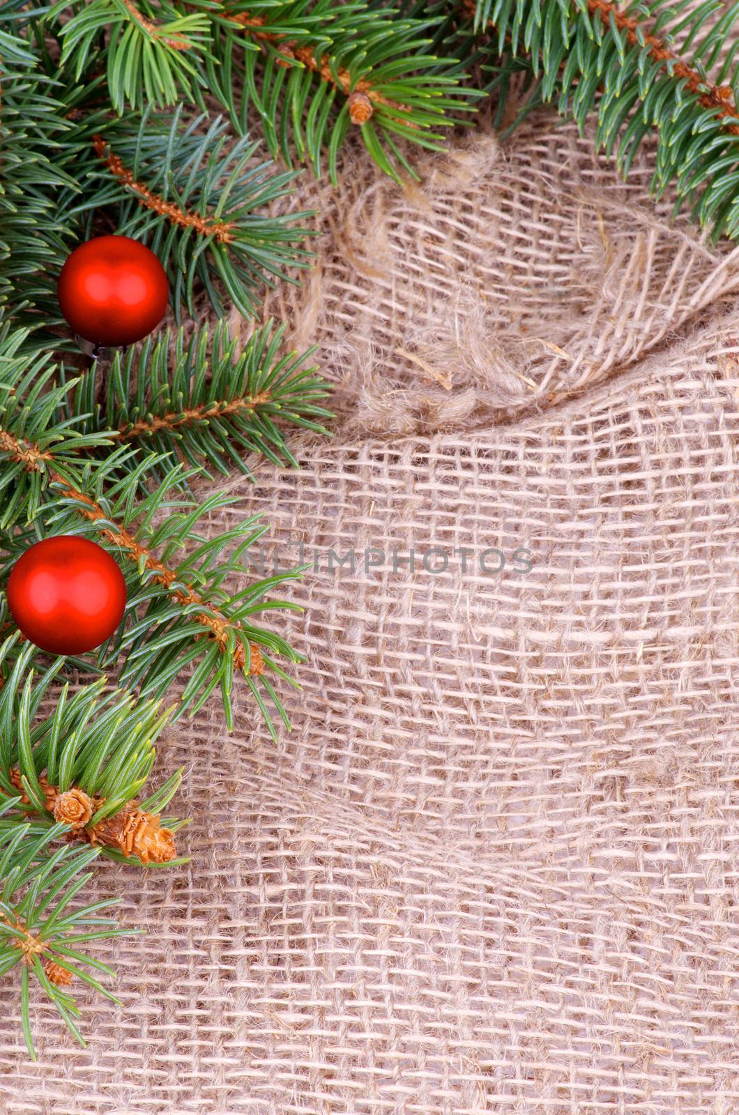 Corner Border of Green Spruce Branch with Fir Cones and Little Red Baubles closeup on Sack cloth background