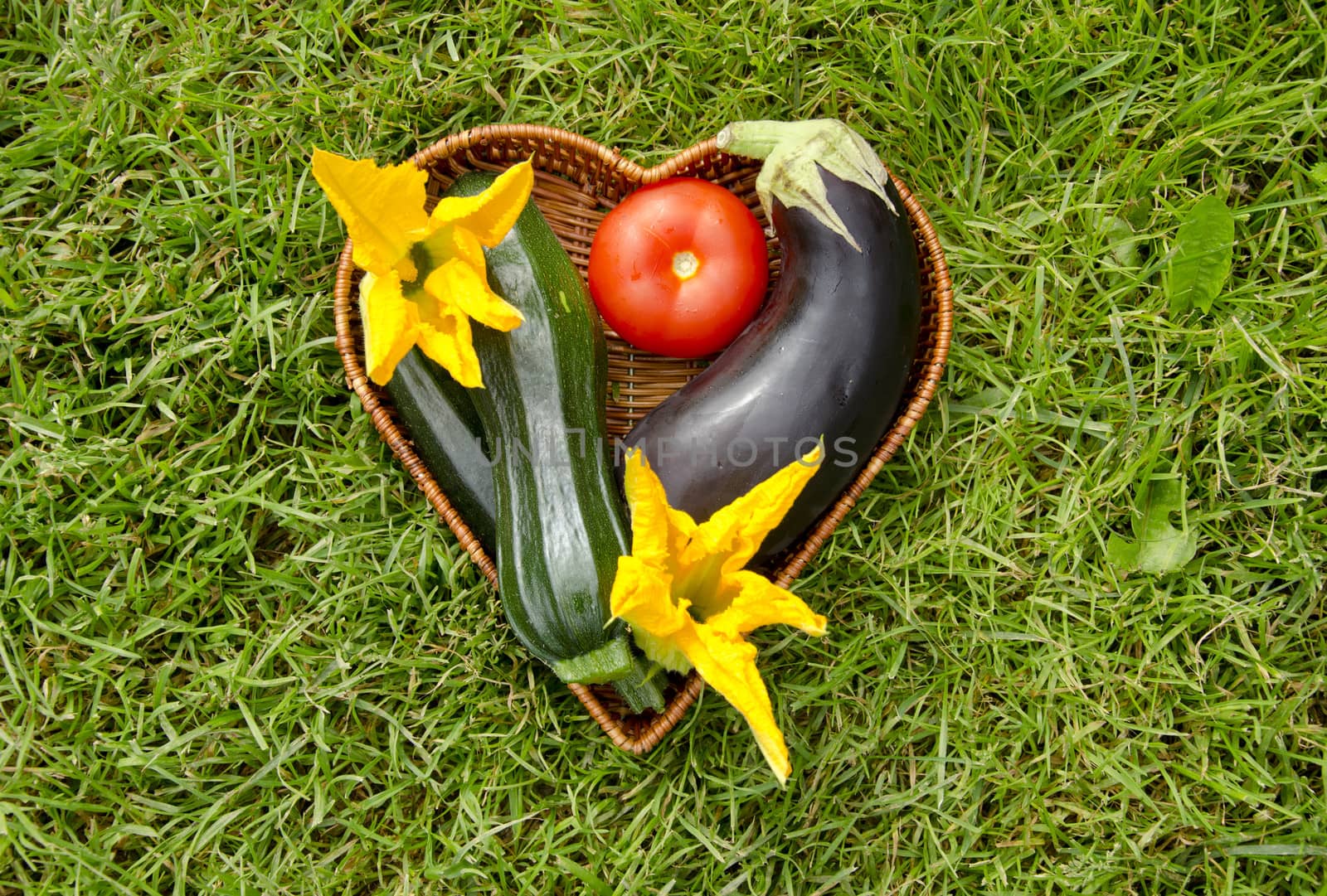 heart form wicker basket with vegetable. Tomato,zucchini,courgette flowers and eggplant