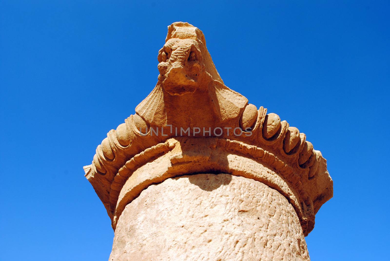Detail of a column in the Great Temple ruins in Petra, Jordan.