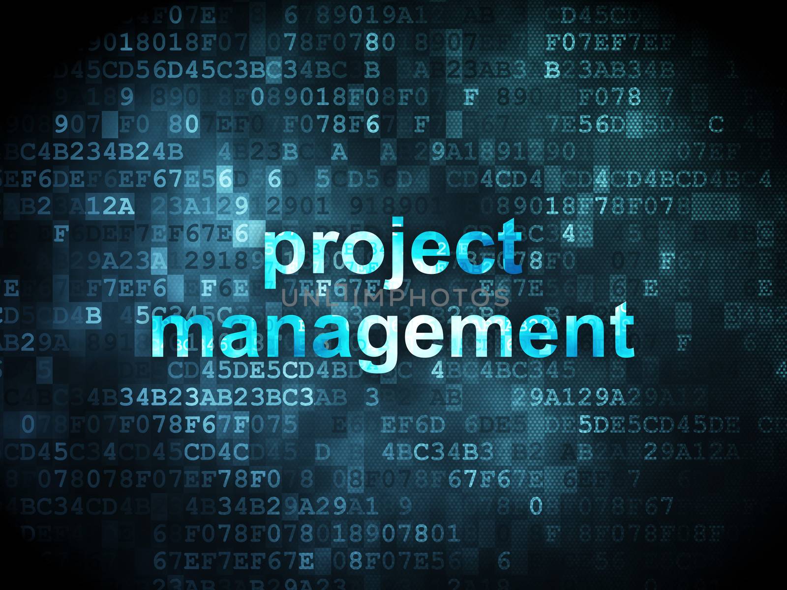 Business concept: pixelated words Project Management on digital background, 3d render