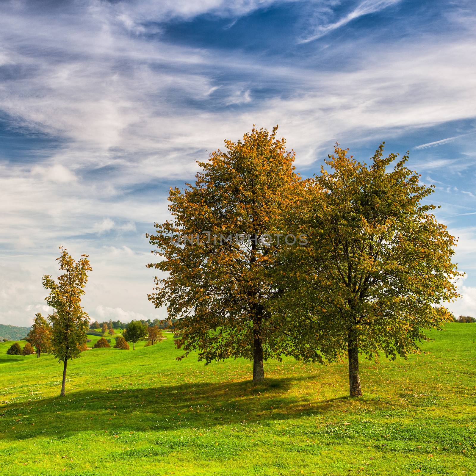 Idyllic autumn scenery on the golf course by CaptureLight