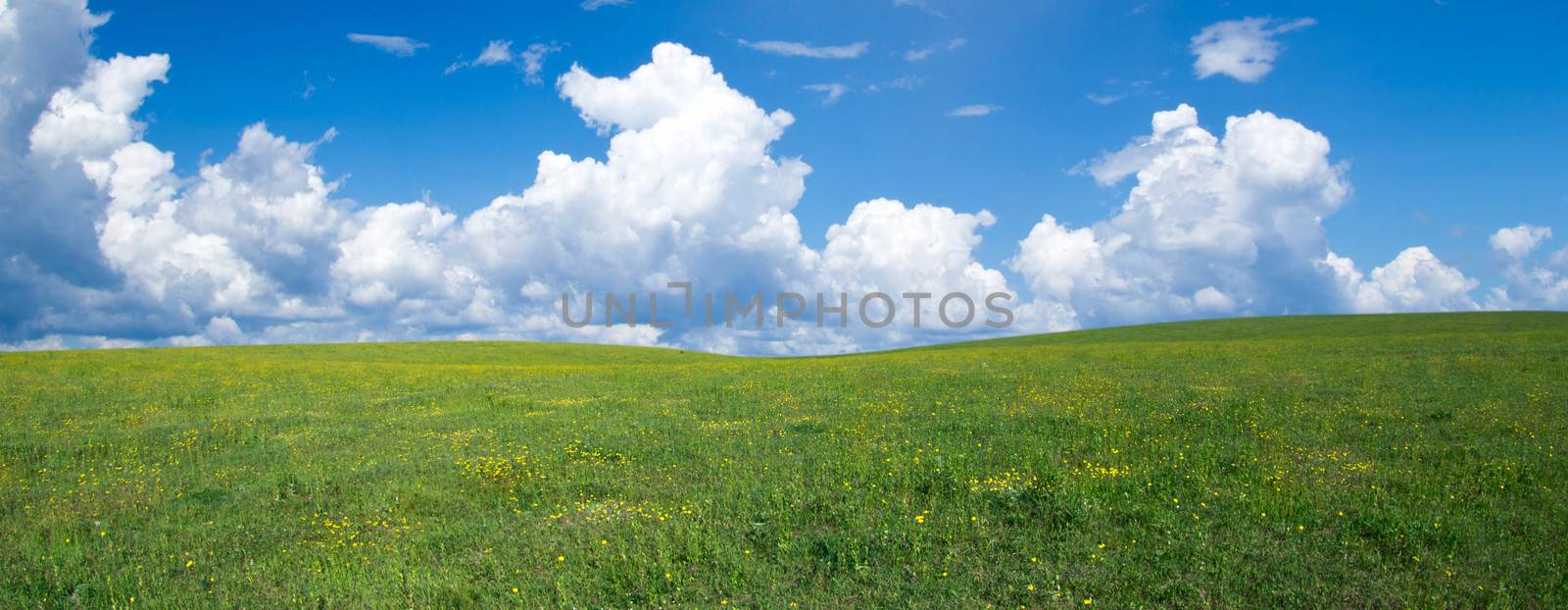 green field and blue sky