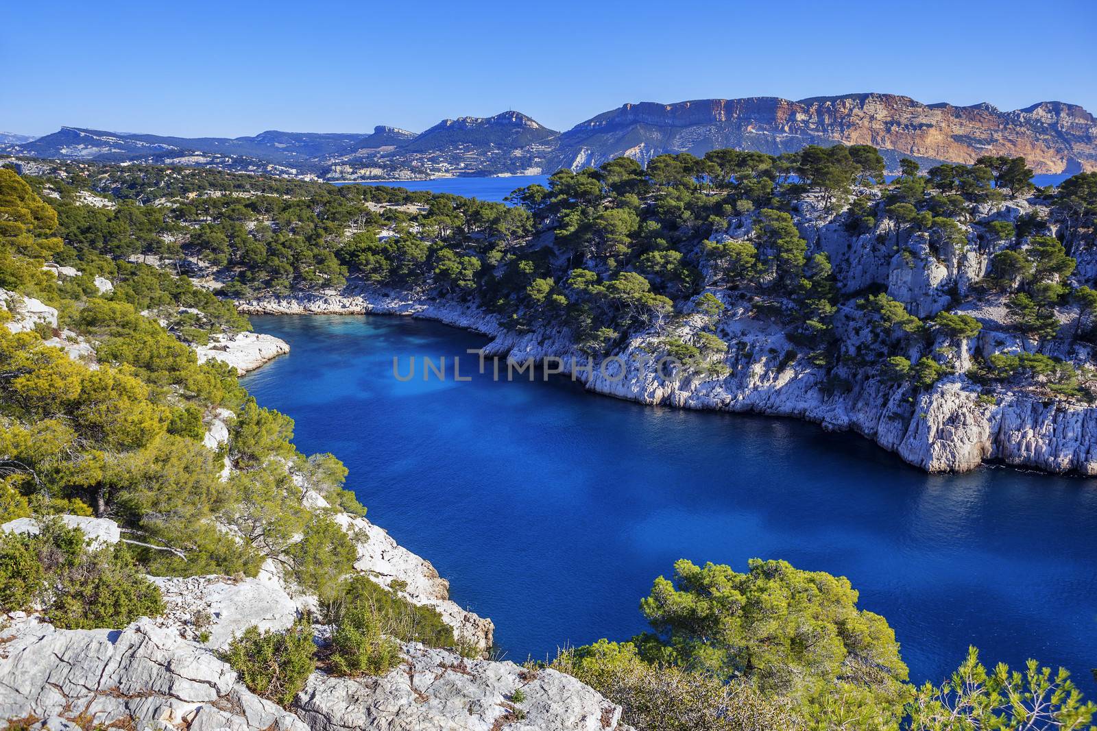 Calanques of Port Pin in Cassis in France near Marseille 