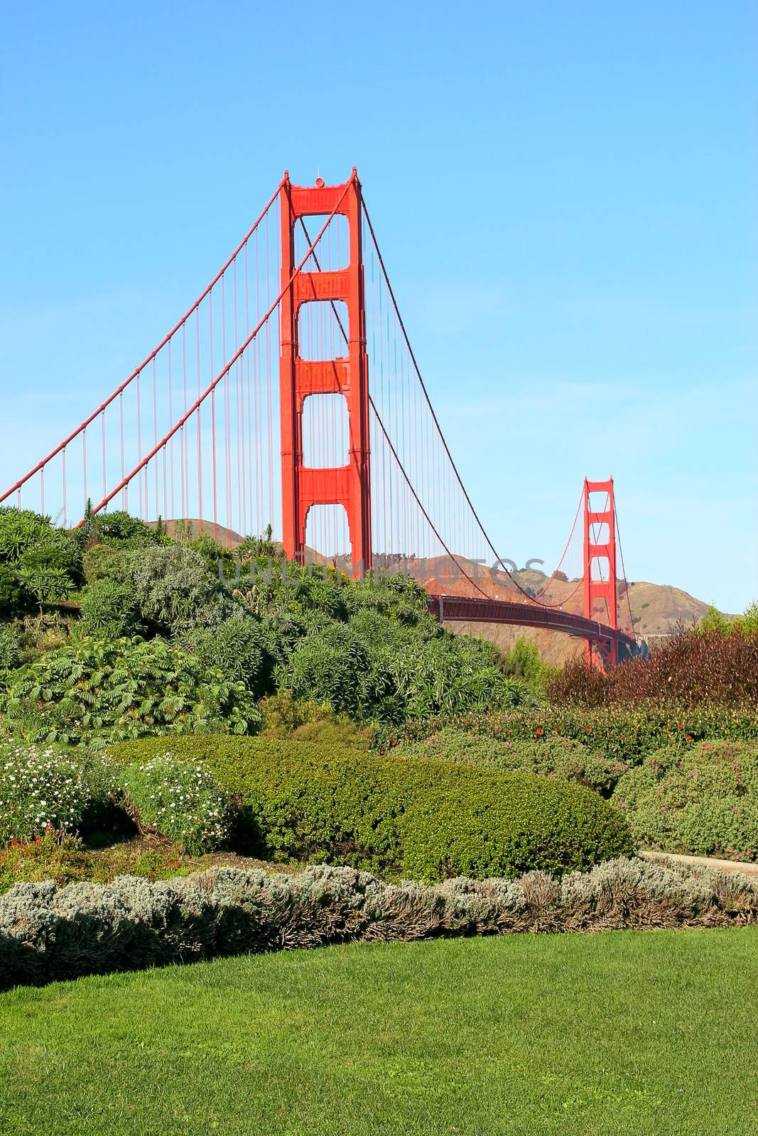 Vertical oriented image of famous Golden Gate Bridge under blue sky in San Francisco, USA.
