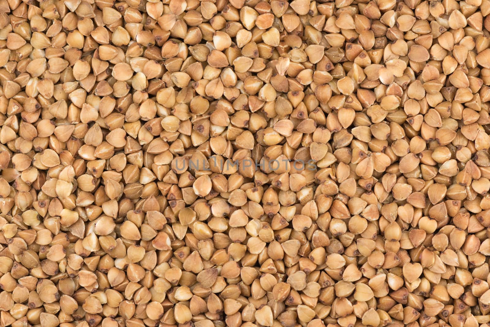 Buckwheat groats background by only4denn
