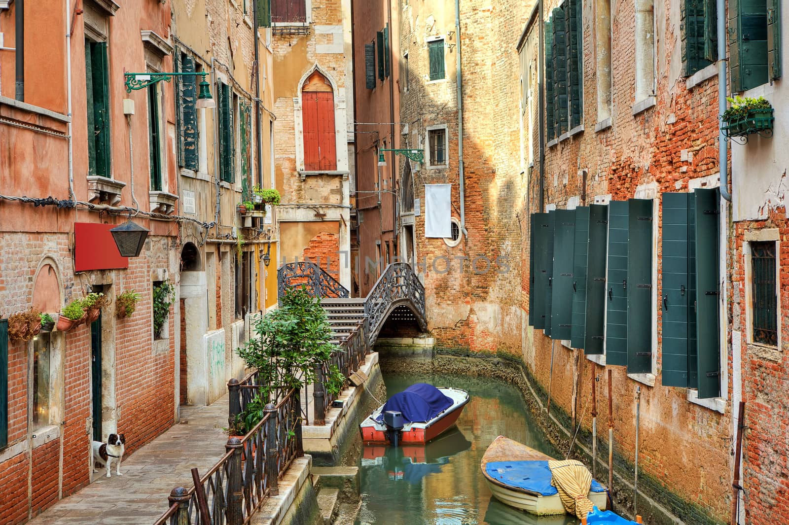 Small canal among buildings. Venice, Italy. by rglinsky