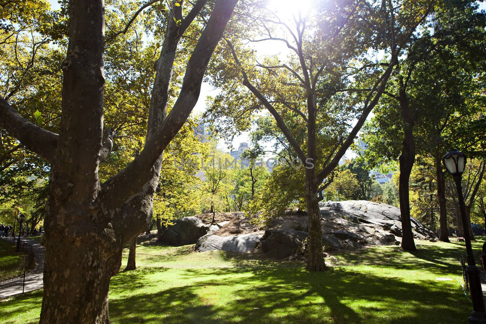 The famous rocks of Central Park in New York City during early fall near the Colombus Circle end. Slight lens flare on the sunlight through the trees.