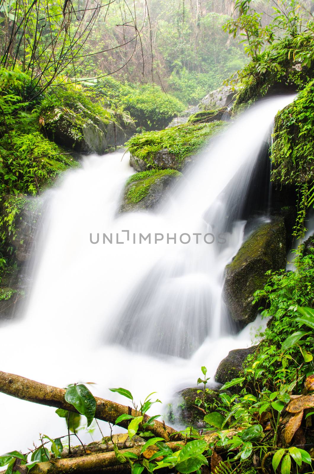 Rom Klao - Pharadorn Waterfall in rain forest, Thailand.