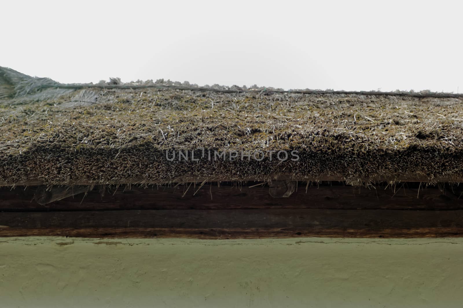 Close-up of a reed roof