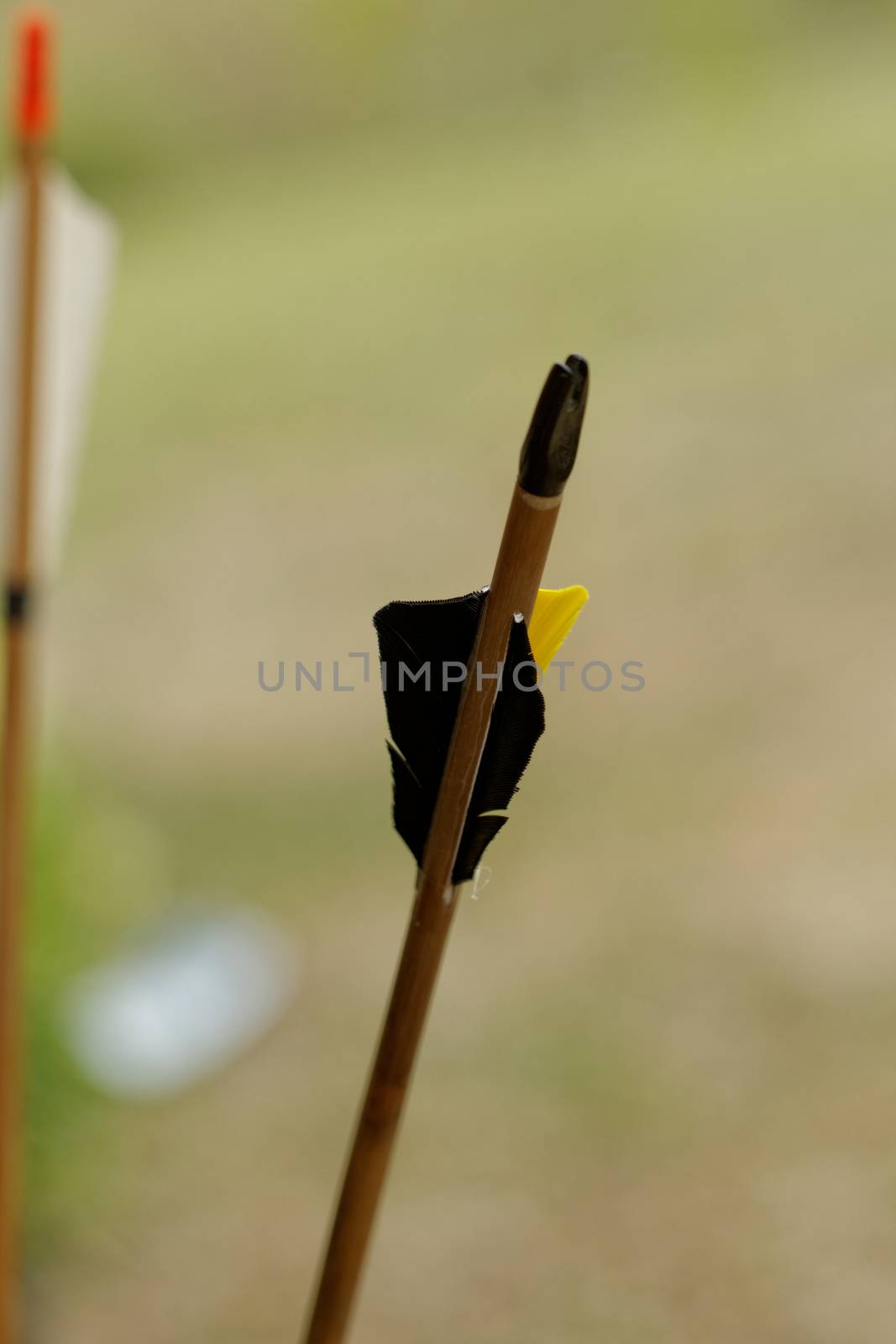 color archery arrows in nature on the ground