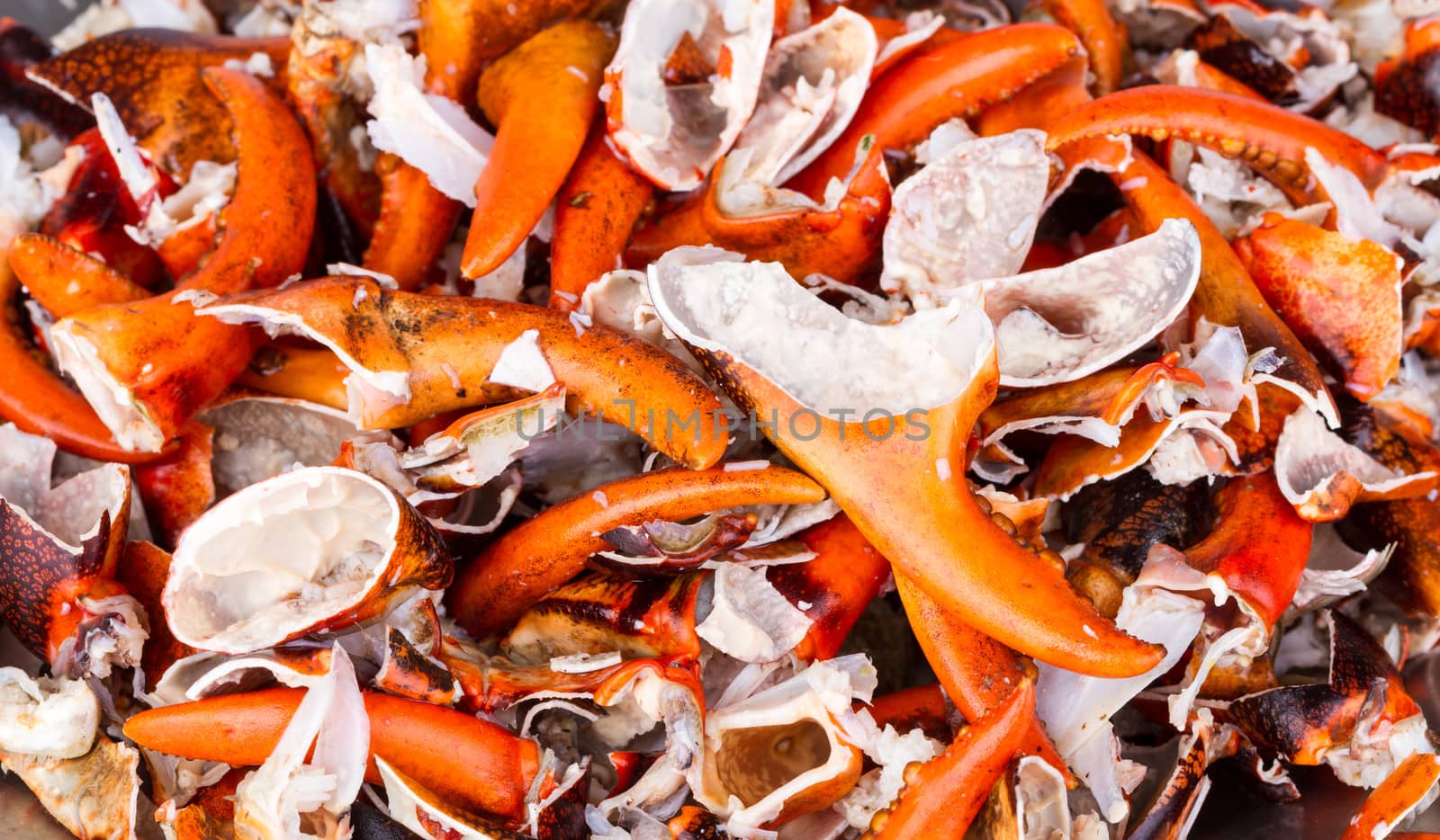 Pile of cracked Boiled Pincers from Esanthelphusa dugasti , rice field crab