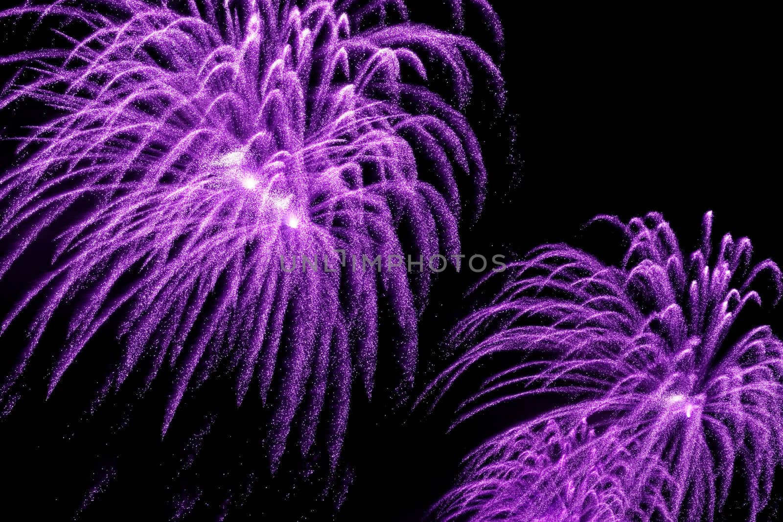beauty colorful Fireworks Against a Black Sky