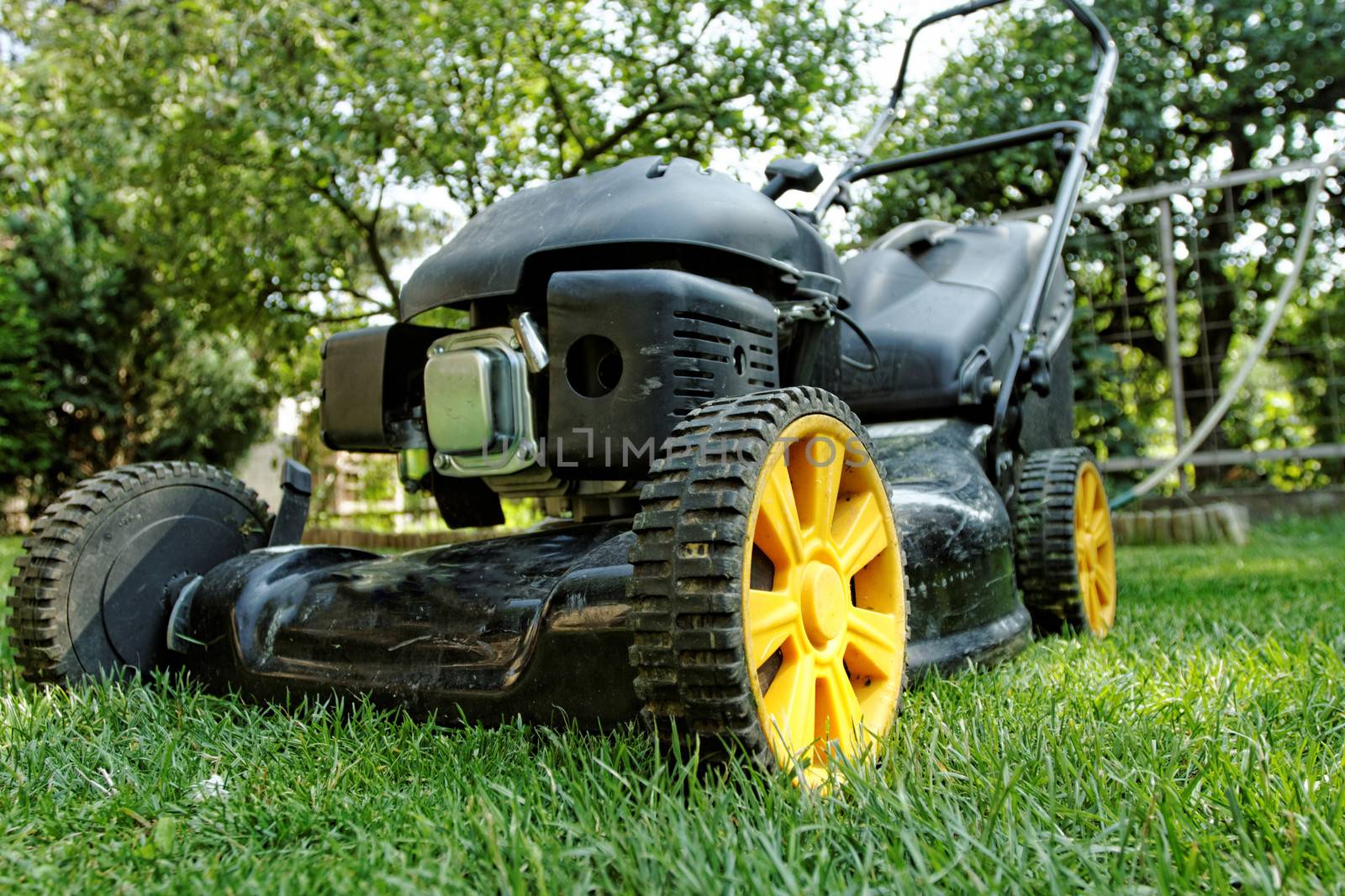 Black lawnmower in the garden lawn the grass with fuel engine