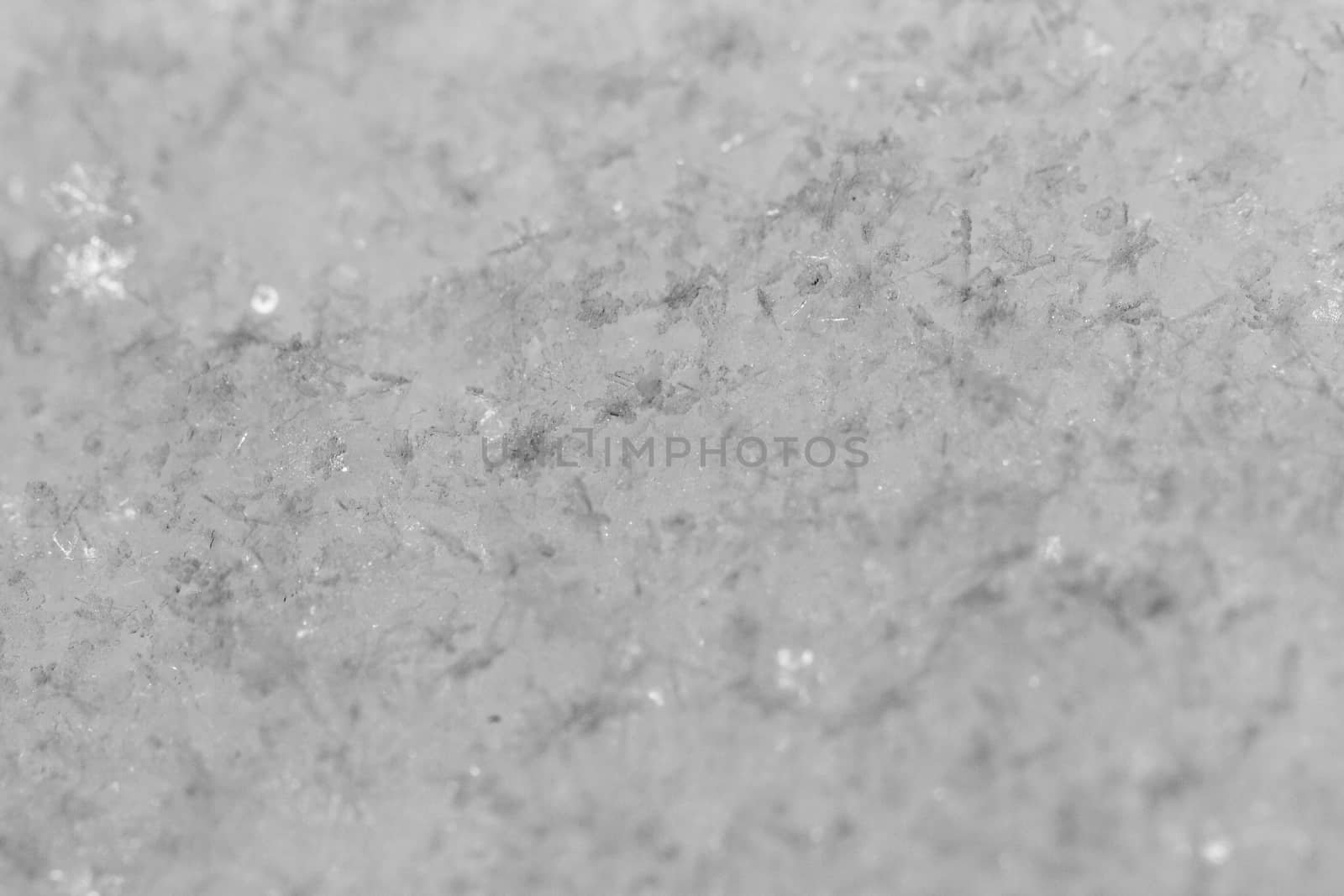 beauty white snowflake crystals on dark background