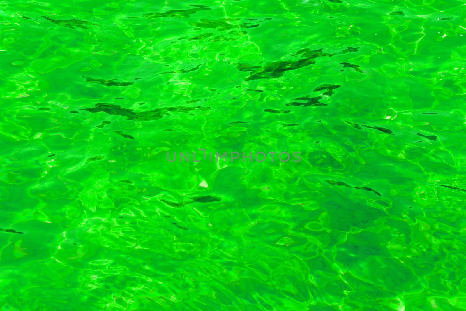 poison green abstract background of wavy water surface