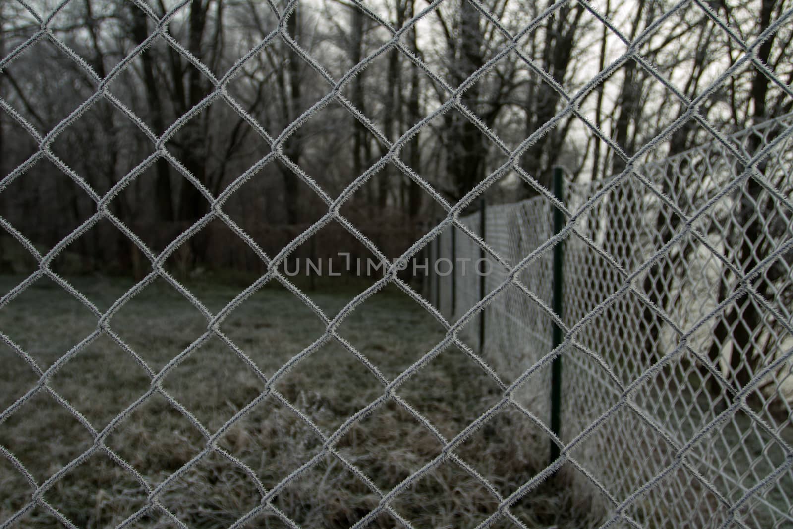 wire fence with hoarfrost by NagyDodo