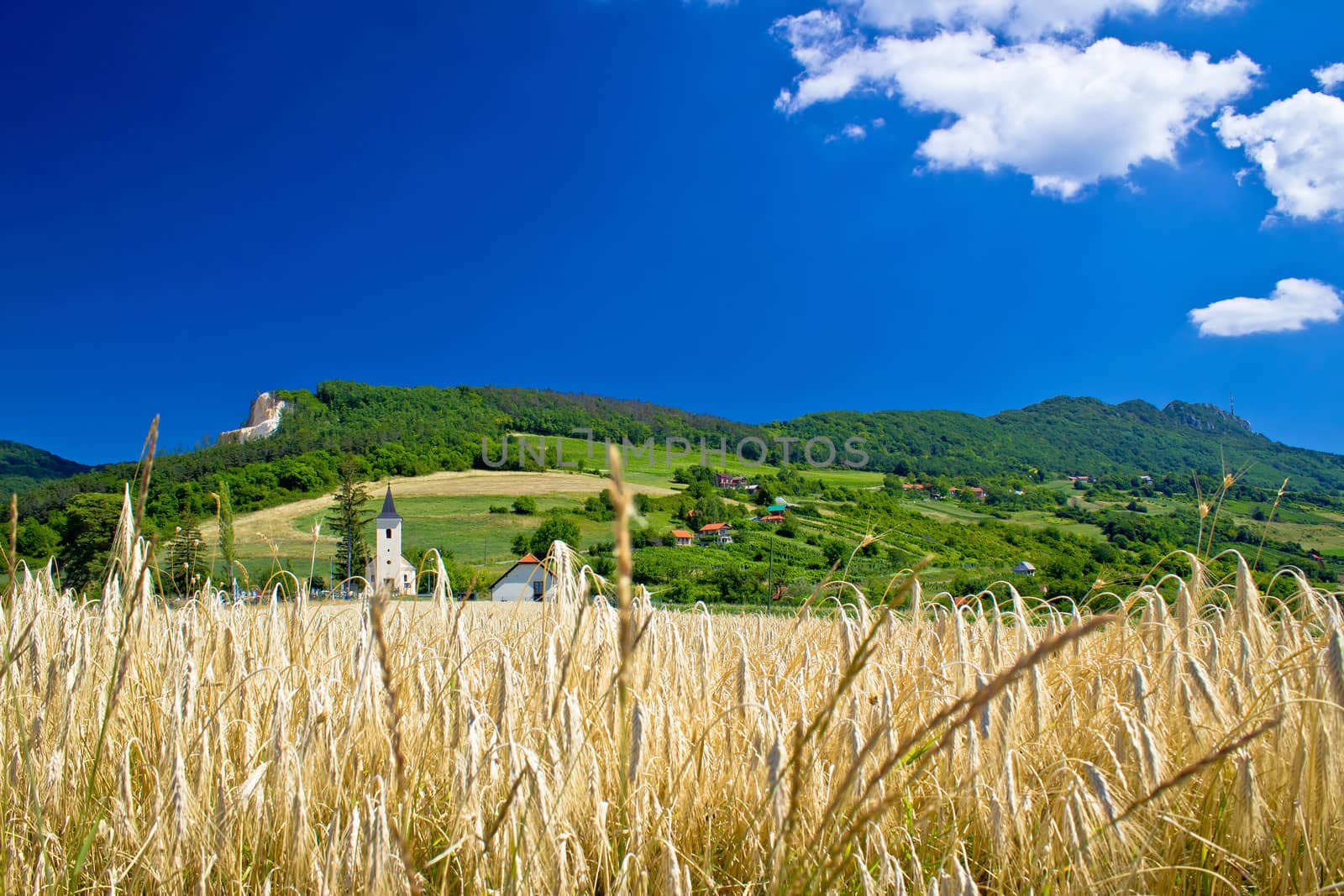Idyllic agricultural mountain landscape of Croatia by xbrchx