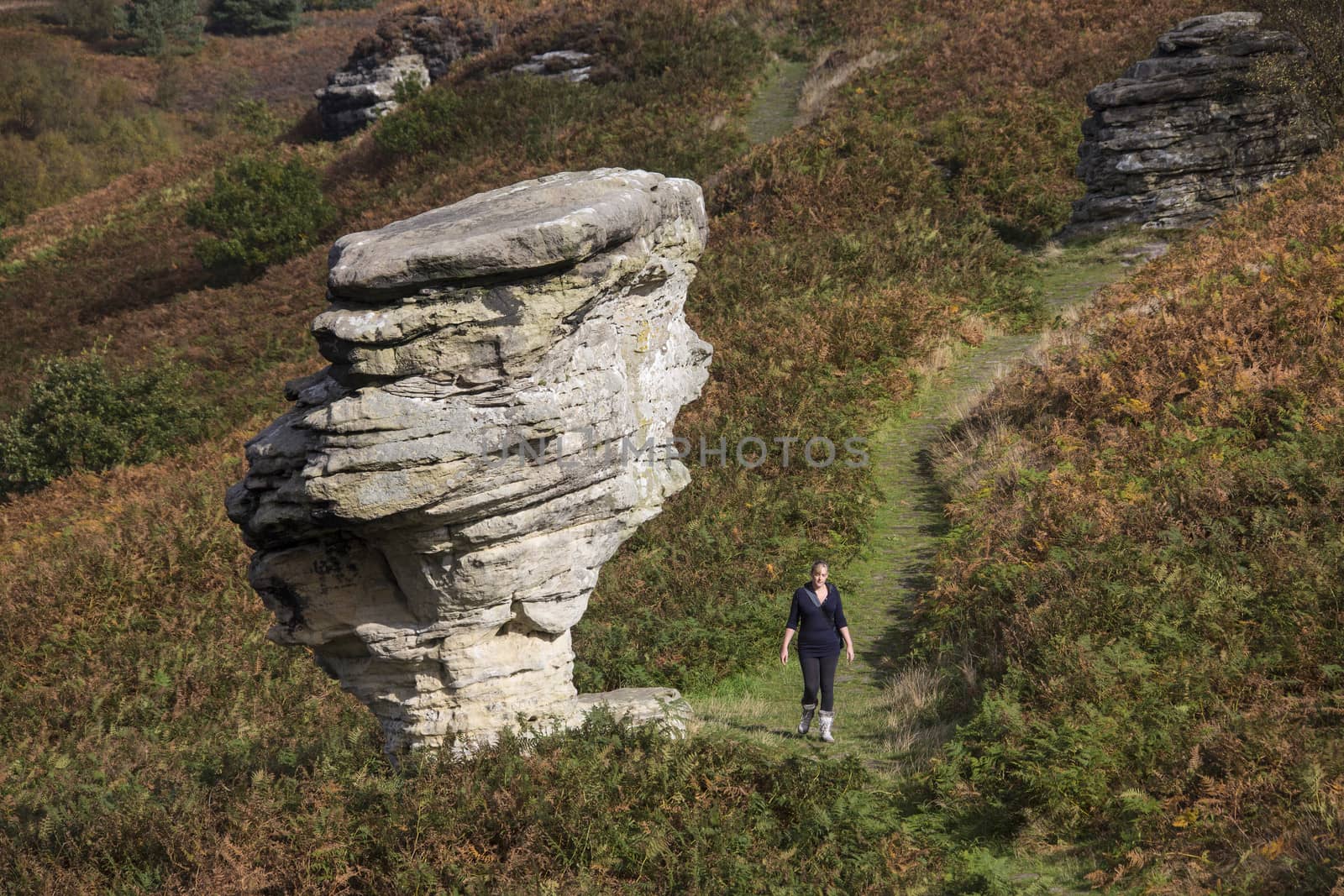 One of the weathered sandstone formations at Bridestones in a moorland part of Dalby Forest in North Yorkshire in the United Kingdom.