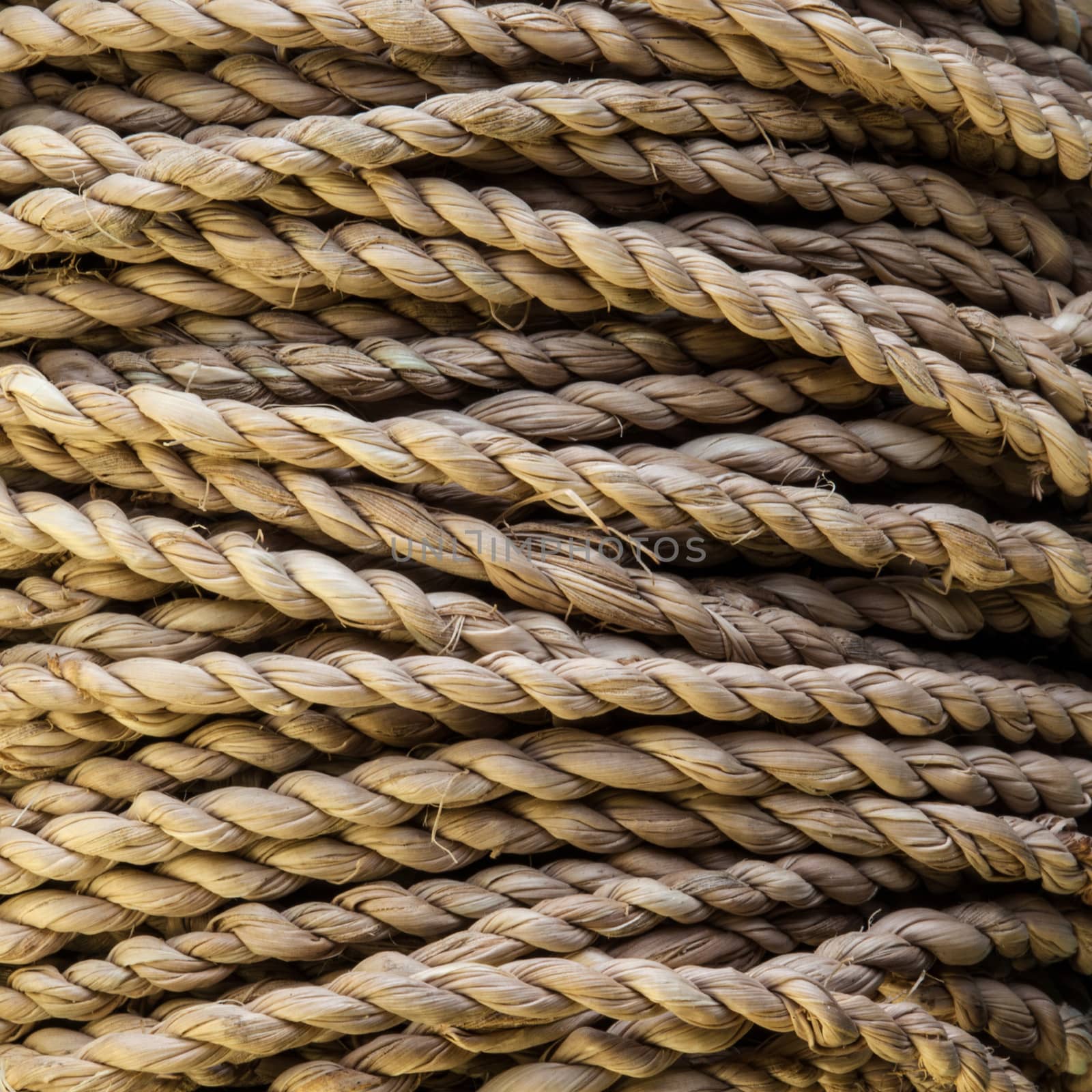 A coil of rough string