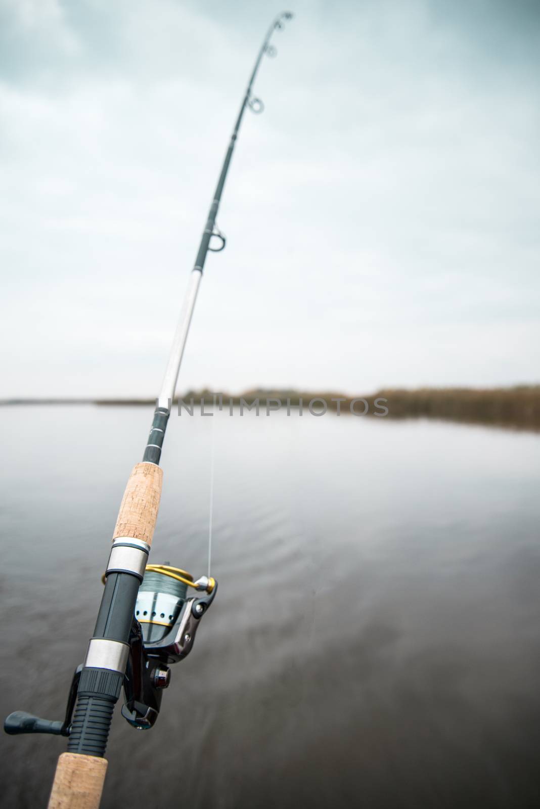 Fishing rod by Nickolya