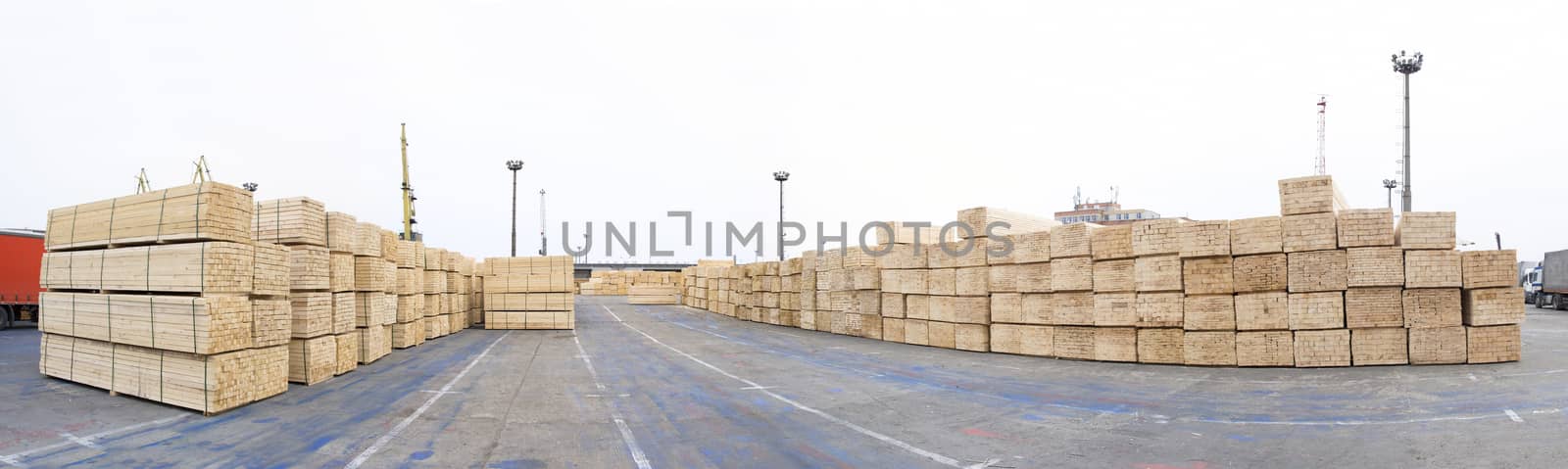 Timber wood piles deposit for export