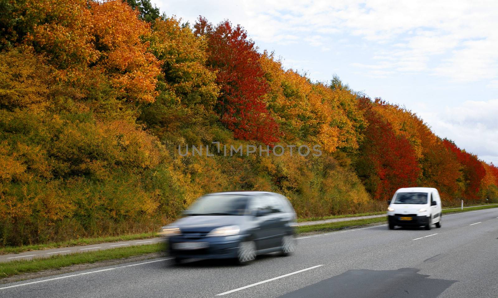Indian summer road by ABCDK