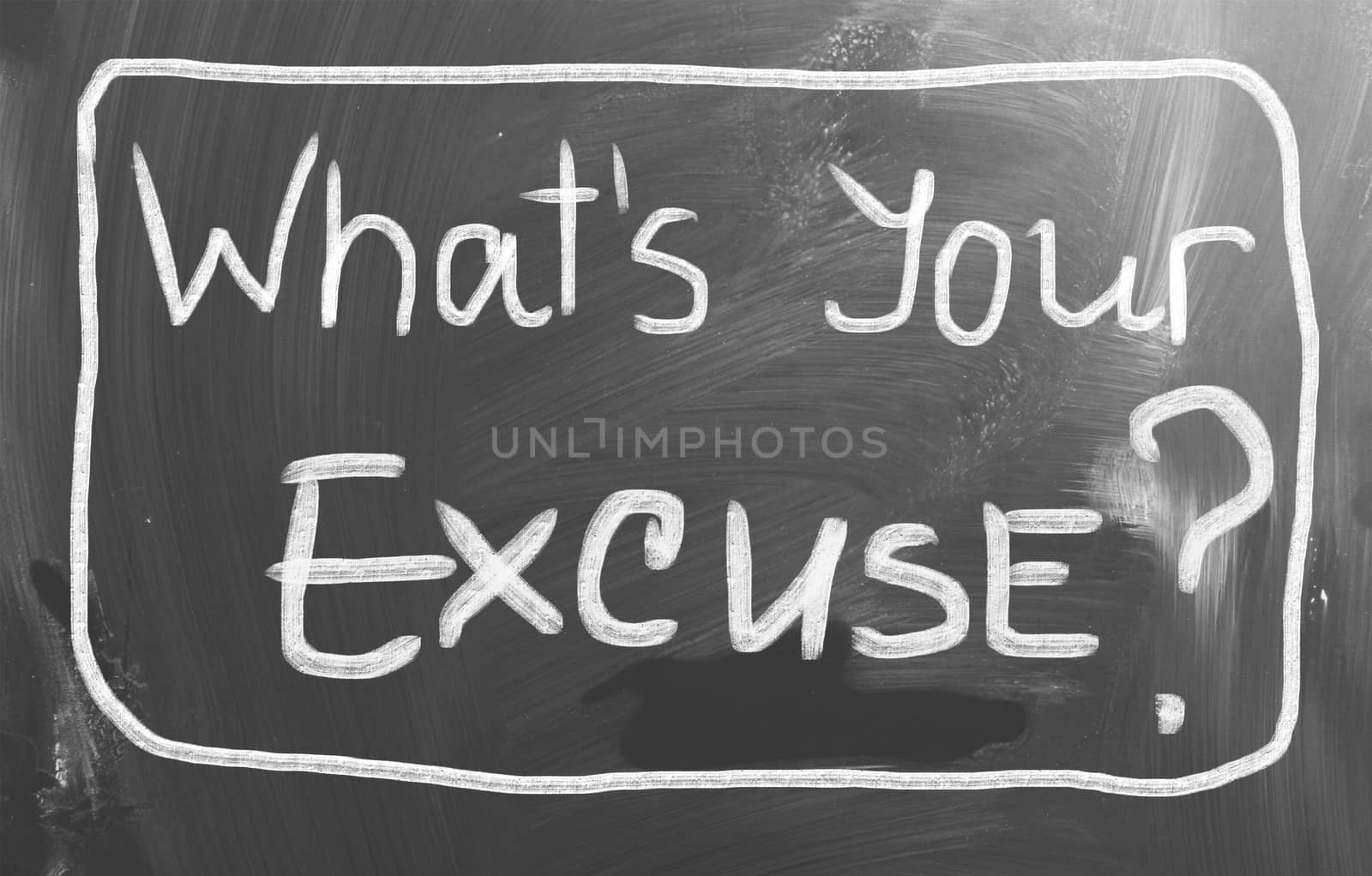 Whats Your Excuse Concept