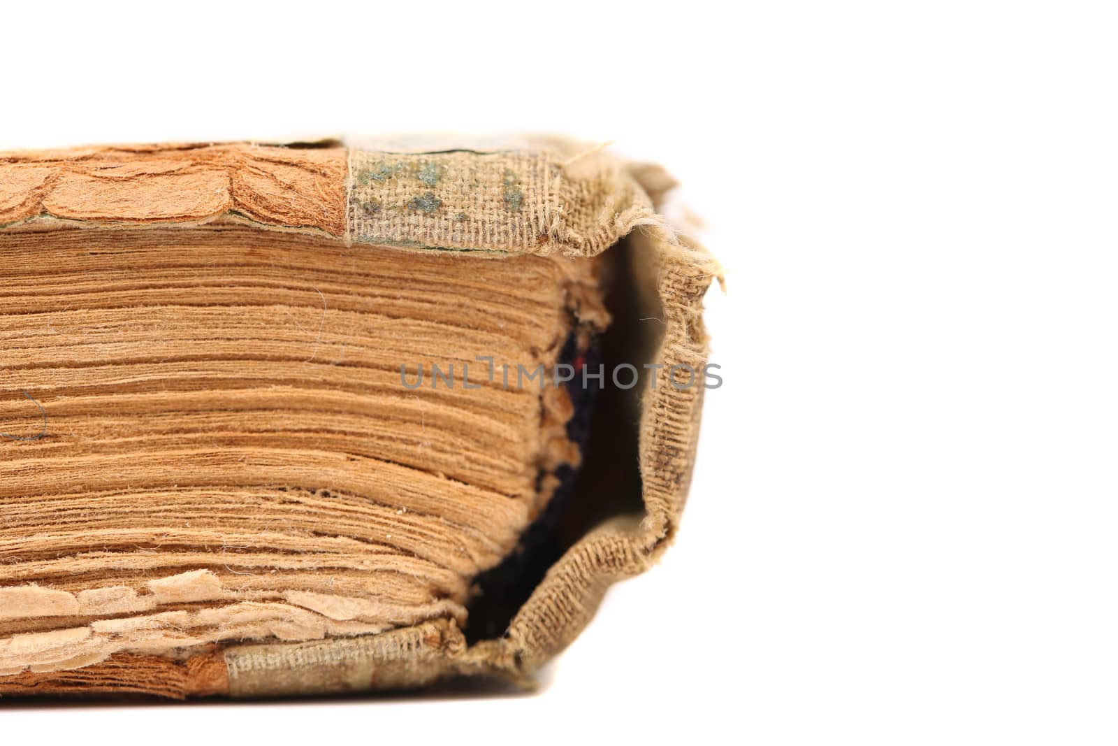 Binding of old book. Close up. White background.