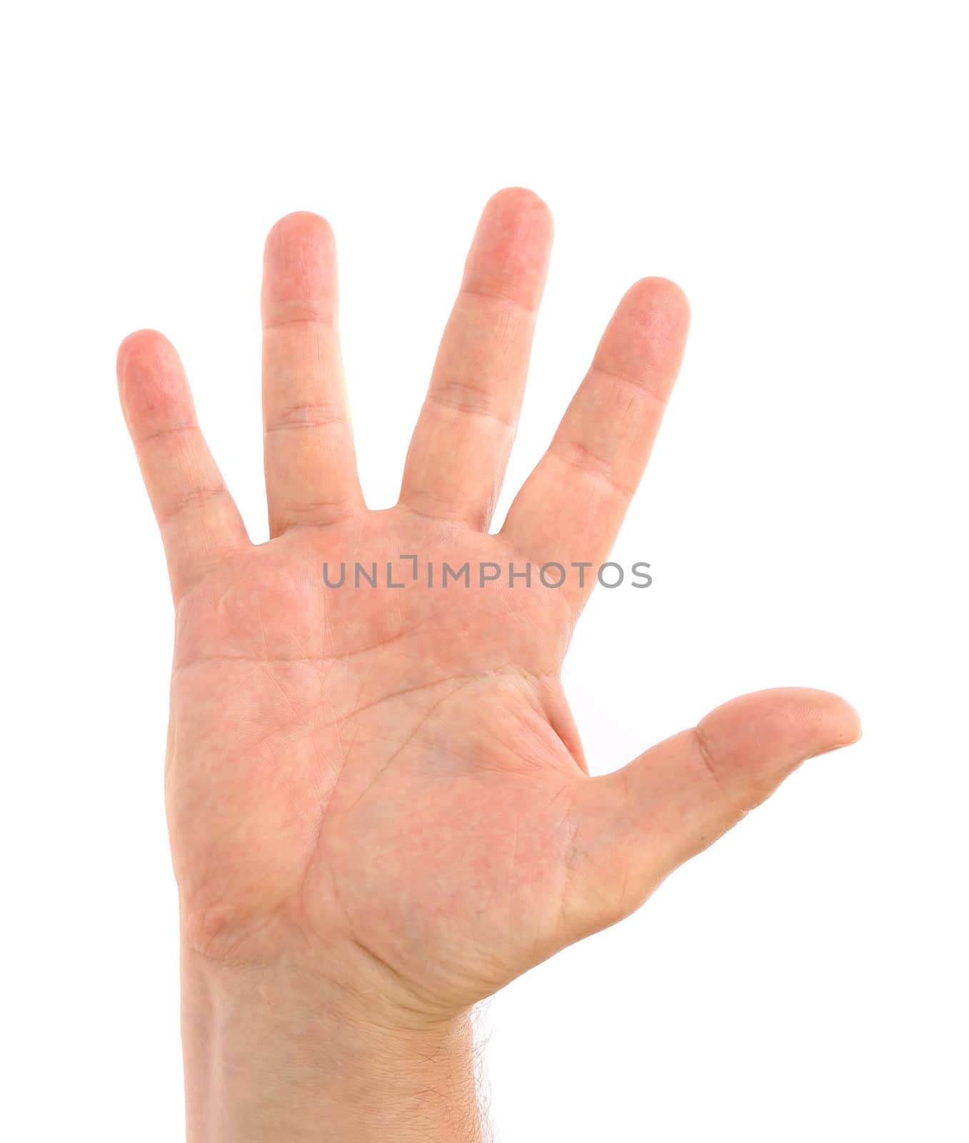 Five fingers. Man's hand. Isolated on a white background.