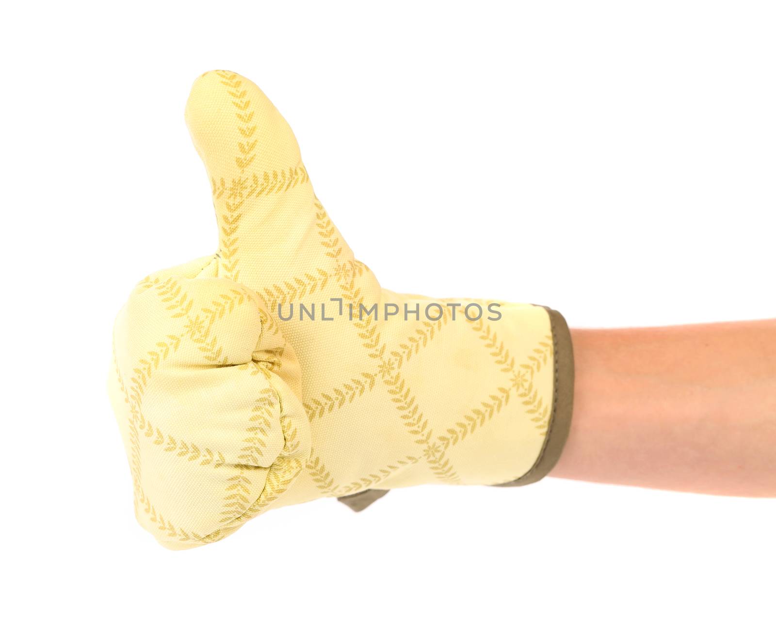 Great. Kitchen glove is put on the hand. White background.