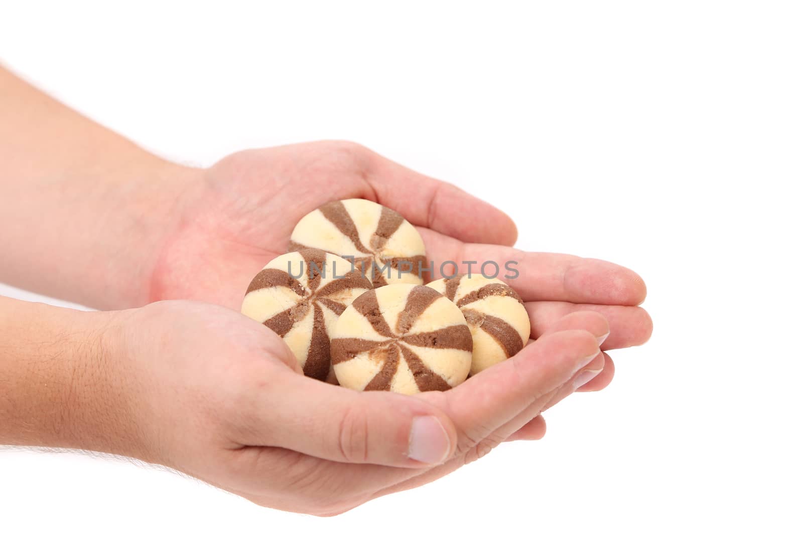 Hand holds biscuits of a chocolate cloves. White background.