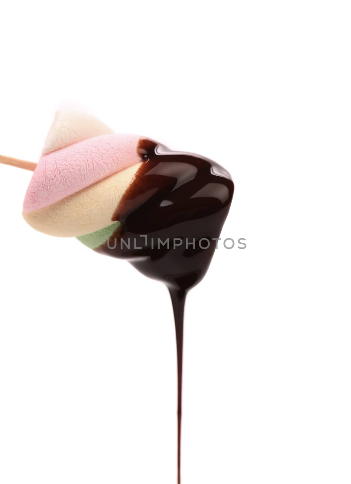 Marshmallow in chocolate syrop. Isolated. White background.