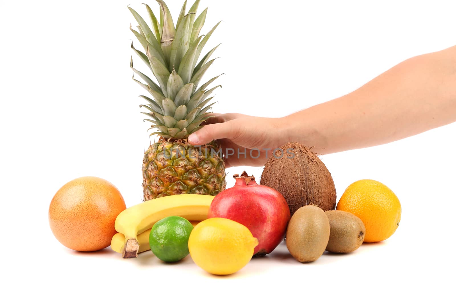 Fruits composition. Hand holds pineapple. White background.