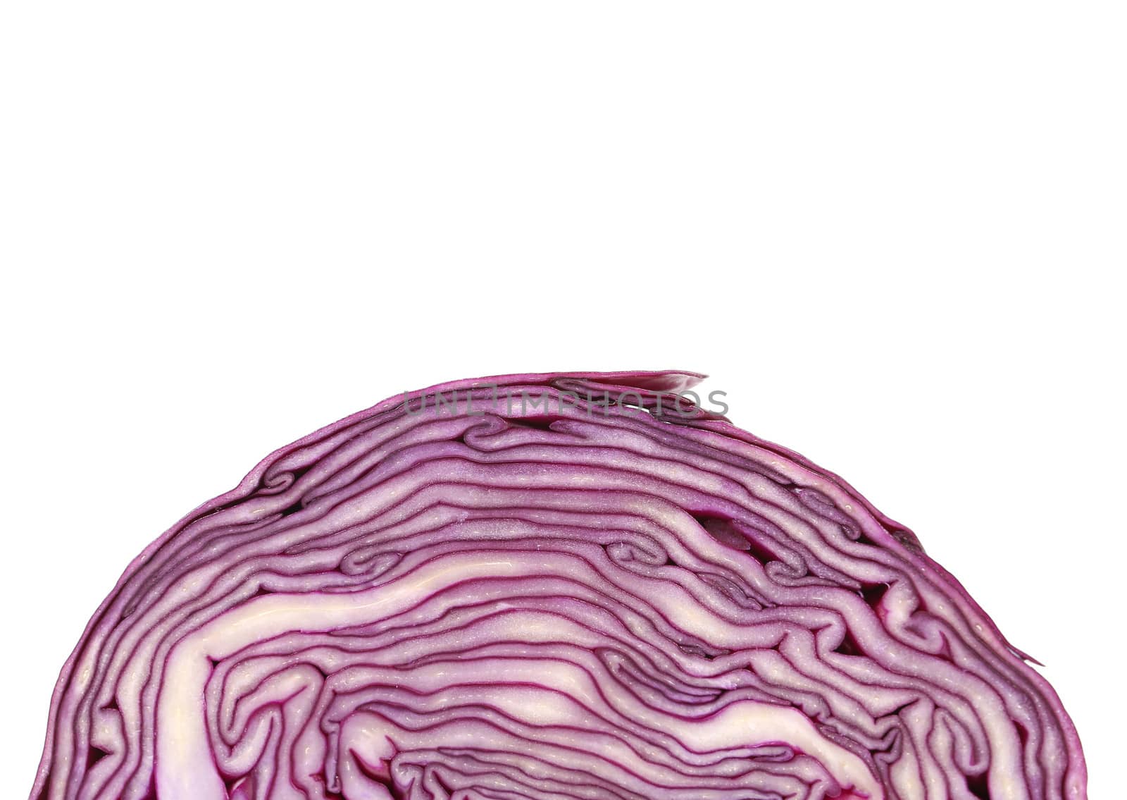 Slice of violet cultivated cabbage. Half background.