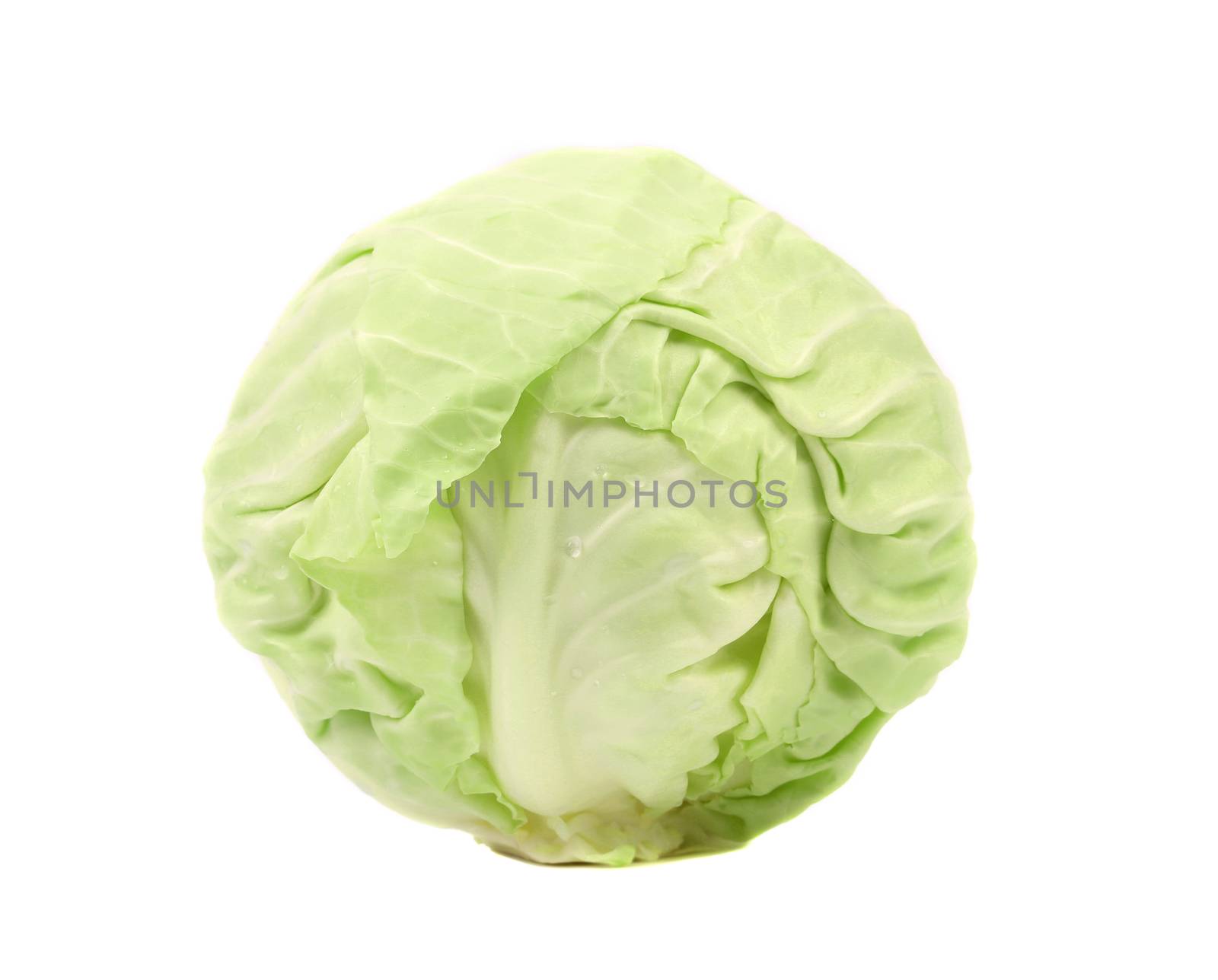 Whole green cabbage isolated on a white background.
