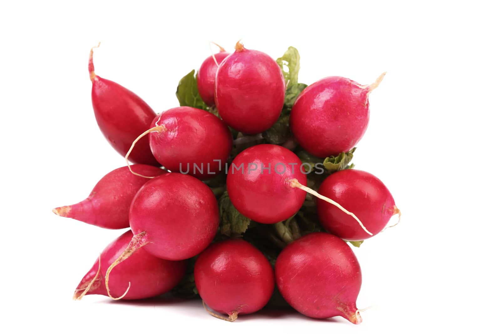 Small garden radish isolated on a white background.