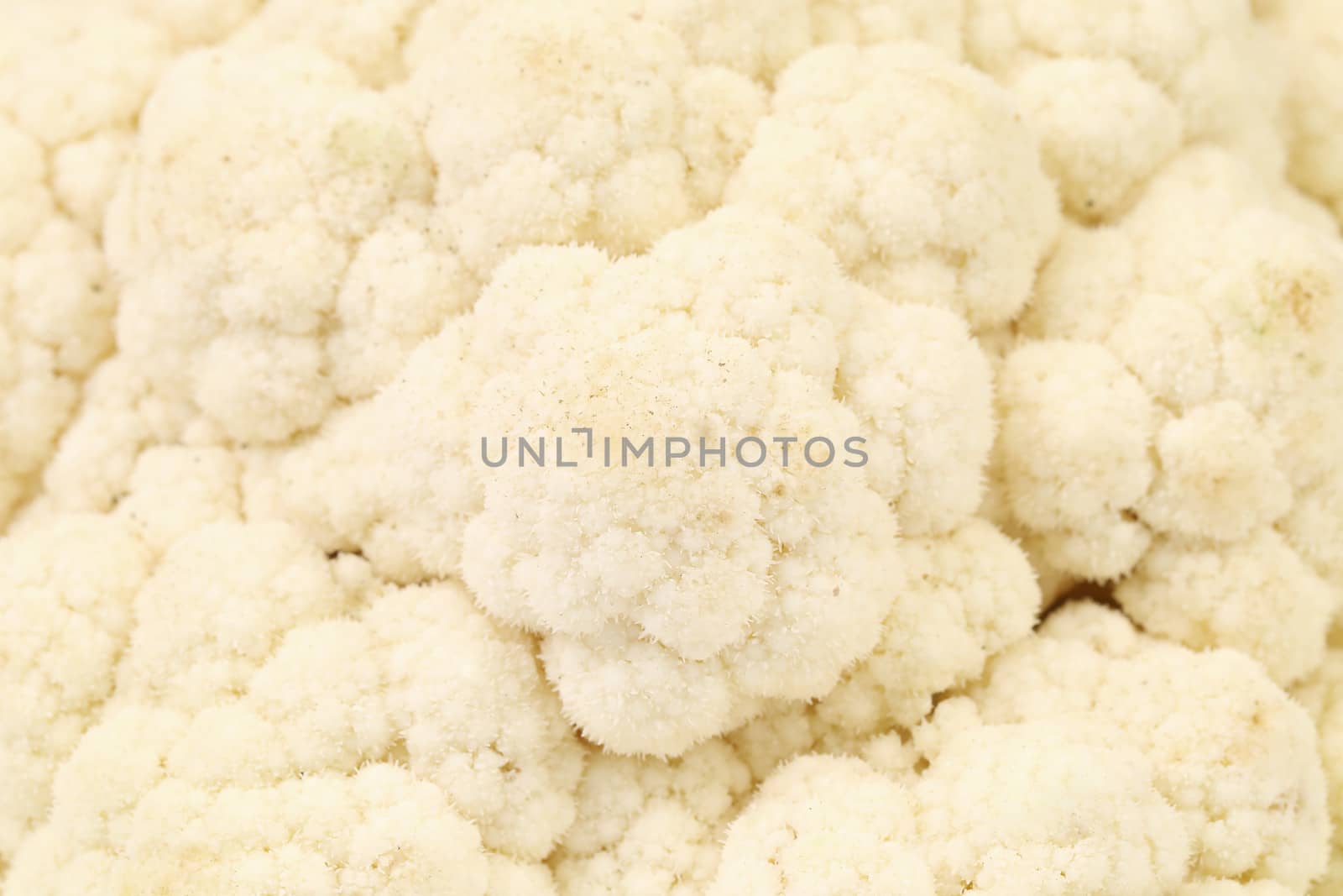 Background of cauliflower. Close up. Whole background.