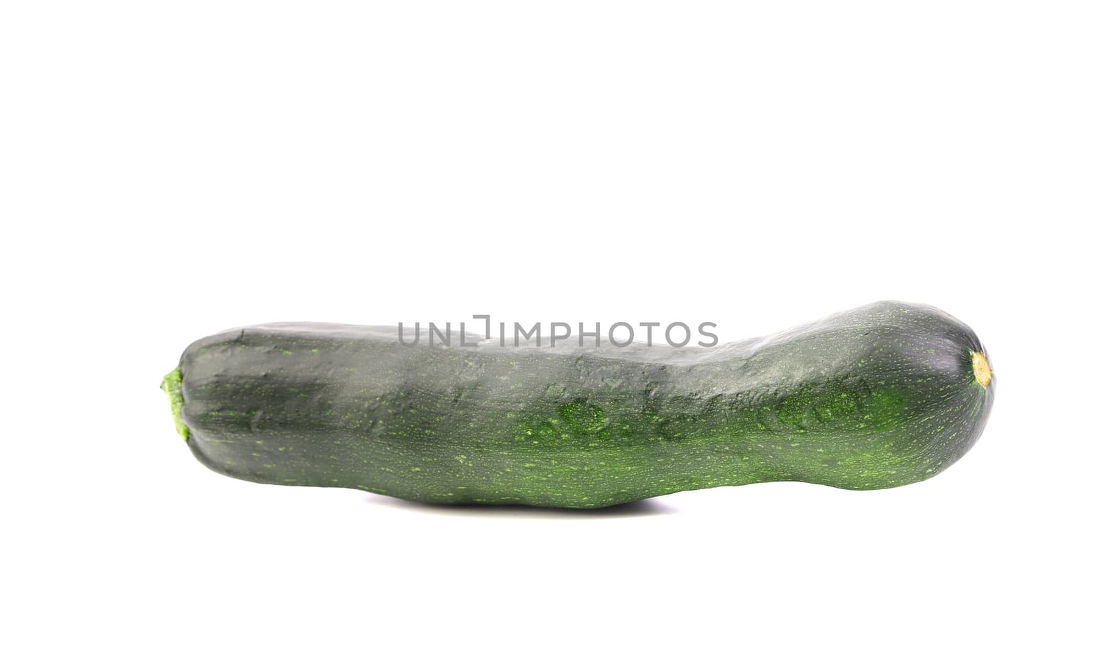 Zucchini isolated on a white background. Close up.