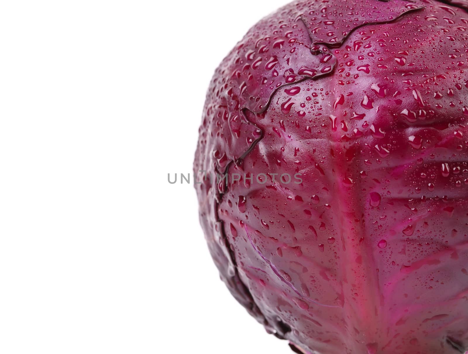 Half red cabbage on a white background.